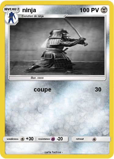 Pokemon ninja