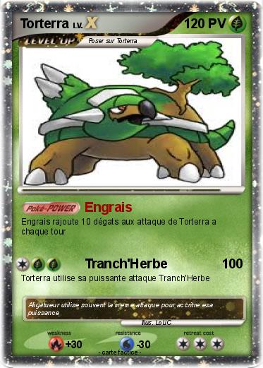 Pokemon Torterra