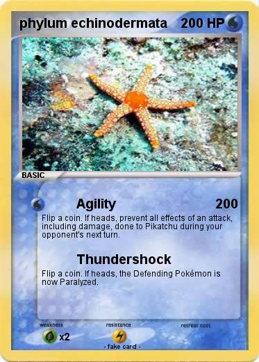 Pokemon phylum echinodermata