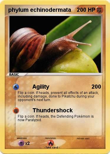 Pokemon phylum echinodermata