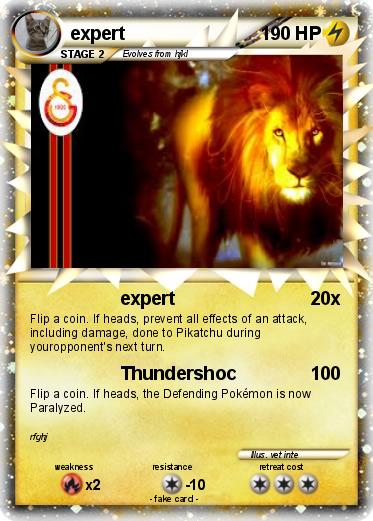 Pokemon expert