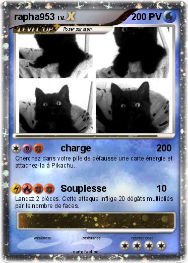 Pokemon rapha953