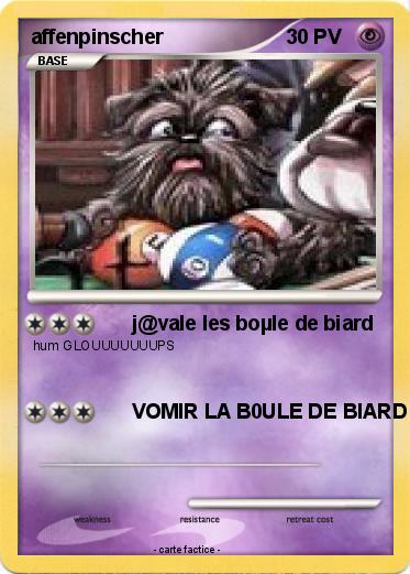 Pokemon affenpinscher