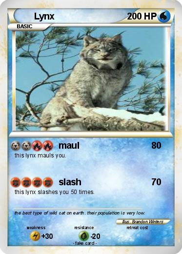 Pokemon Lynx