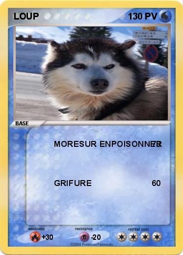 Pokemon LOUP