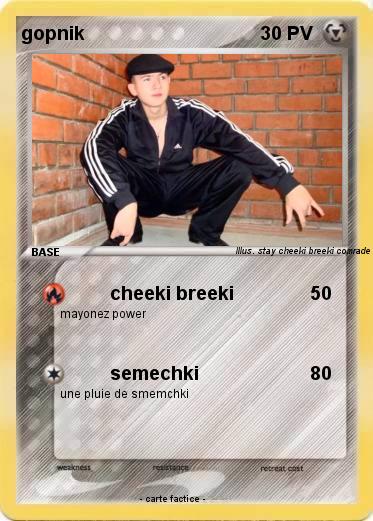 Pokemon gopnik