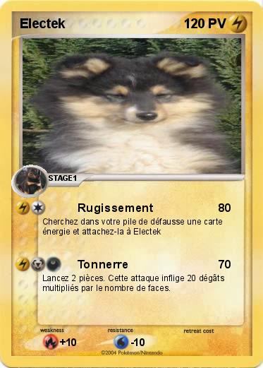 Pokemon Electek