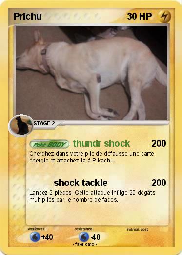 Pokemon Prichu