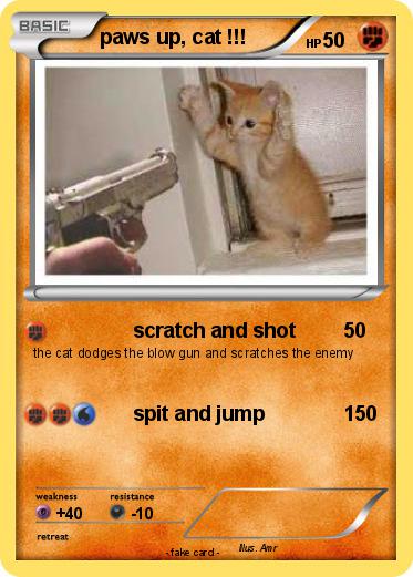 Pokemon paws up, cat !!!