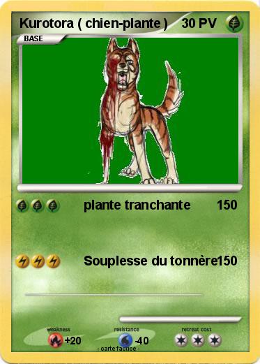 Pokemon Kurotora ( chien-plante )