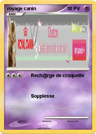 Pokemon royage canin