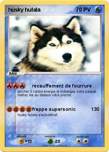 Pokemon husky hulala