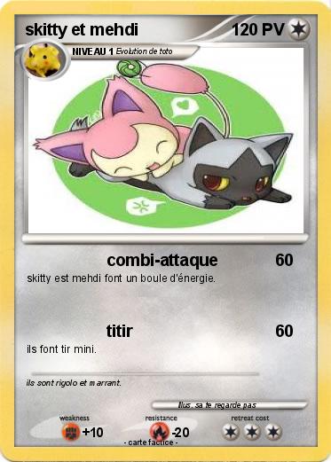Pokemon skitty et mehdi