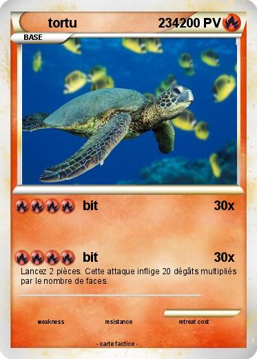 Pokemon tortu                       234