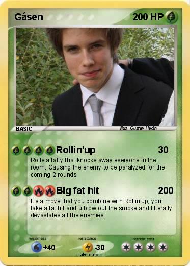 Pokemon Gåsen
