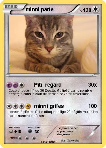 Pokemon minni patte