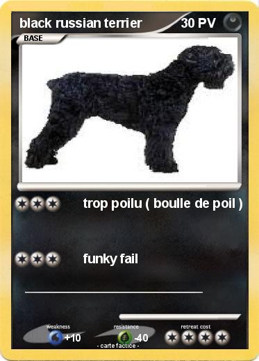 Pokemon black russian terrier