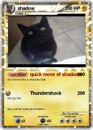 Pokemon shadow