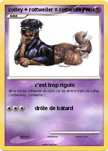 Pokemon colley + rottweiler = rottwolley mix