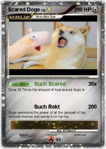 Pokemon Scared Doge