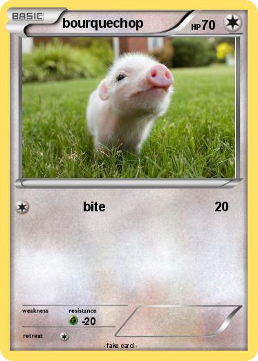 Pokemon bourquechop