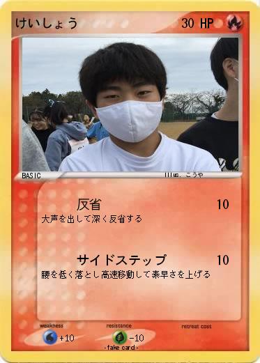 Pokemon けいしょう