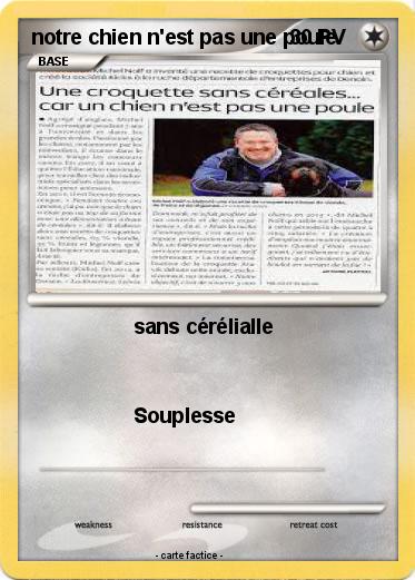 Pokemon notre chien n'est pas une poule