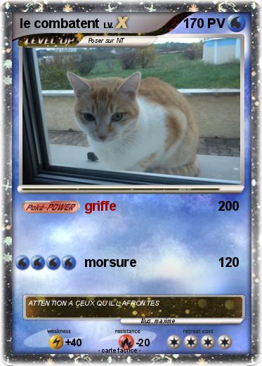 Pokemon le combatent