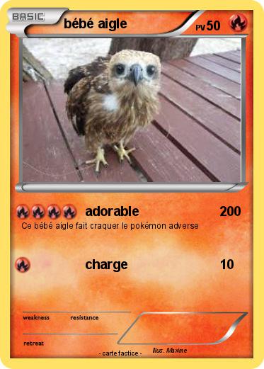 Pokemon bébé aigle