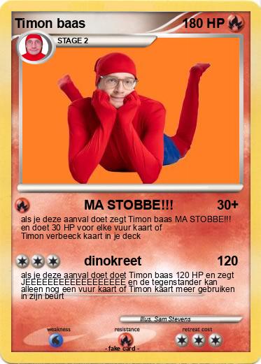 Pokemon Timon baas