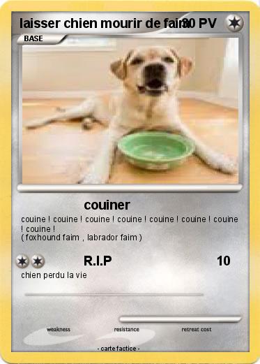 Pokemon laisser chien mourir de faim