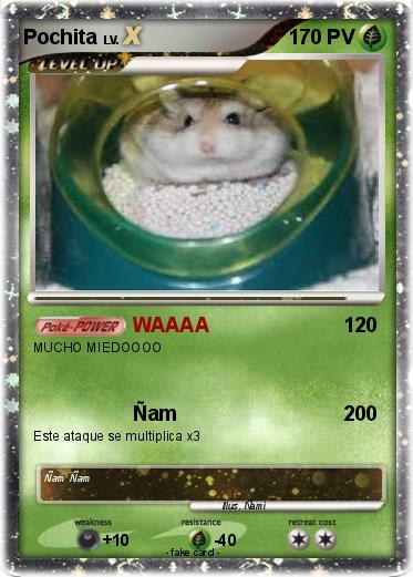 Pokemon Pochita