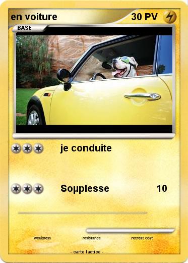 Pokemon en voiture