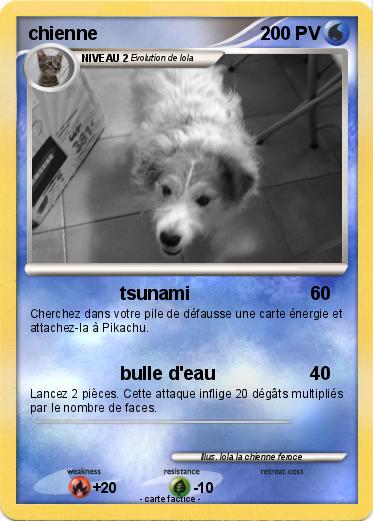 Pokemon chienne