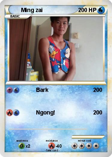 Pokemon Ming zai