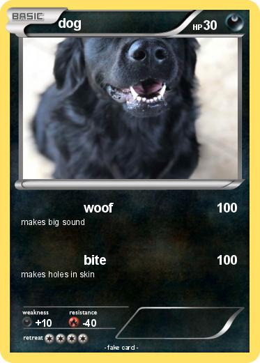 Pokemon dog