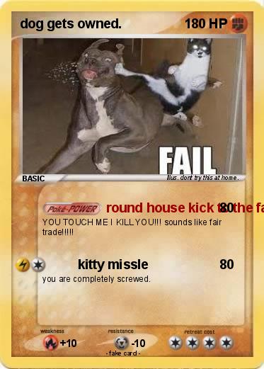 Pokemon dog gets owned.
