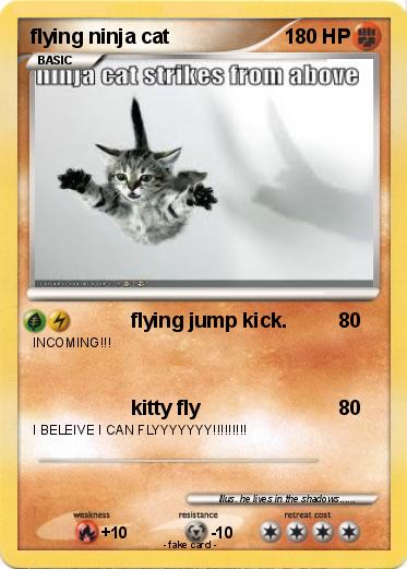 Pokemon flying ninja cat