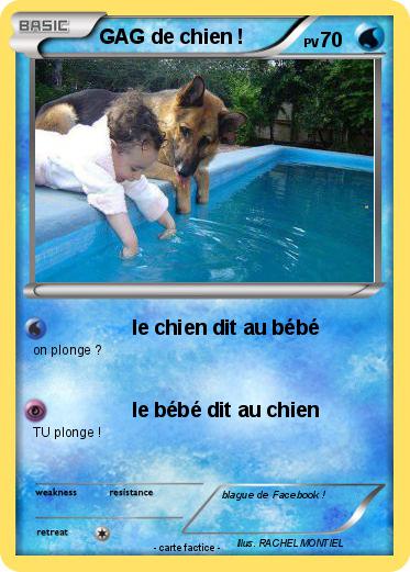Pokemon GAG de chien !