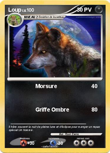Pokemon Loup