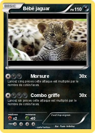 Pokemon Bébé jaguar