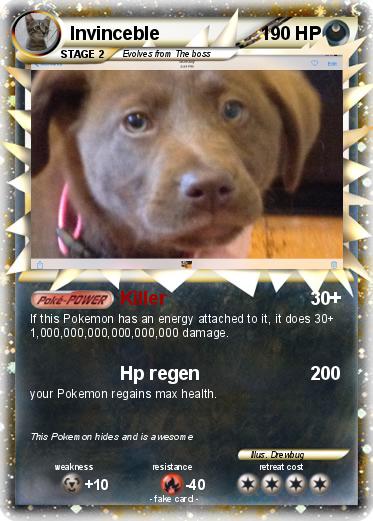 Pokemon Invinceble