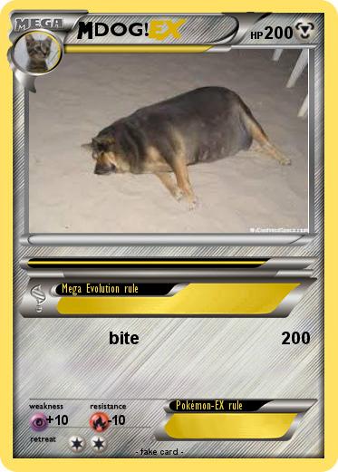 Pokemon DOG!