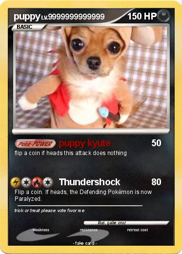 Pokemon puppy