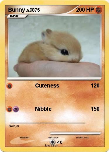 Pokemon Bunny