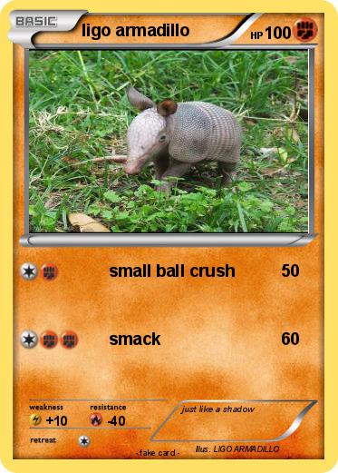 Pokemon ligo armadillo