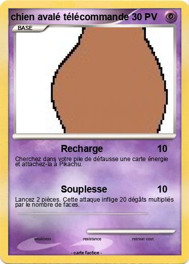 Pokemon chien avalé télécommande