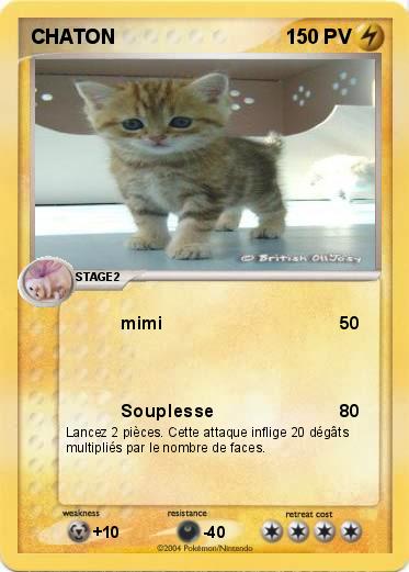 Pokemon CHATON