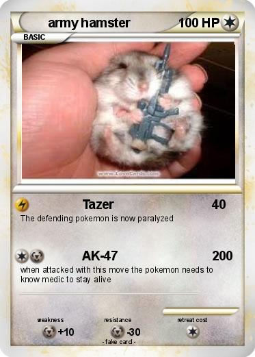 Pokemon army hamster