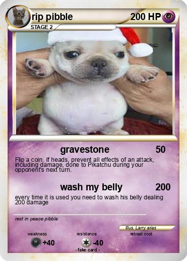 Pokemon rip pibble